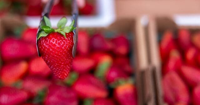 SUGGESTION BOX OPEN!