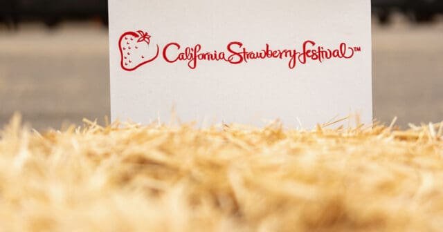 Sponsor the Festival