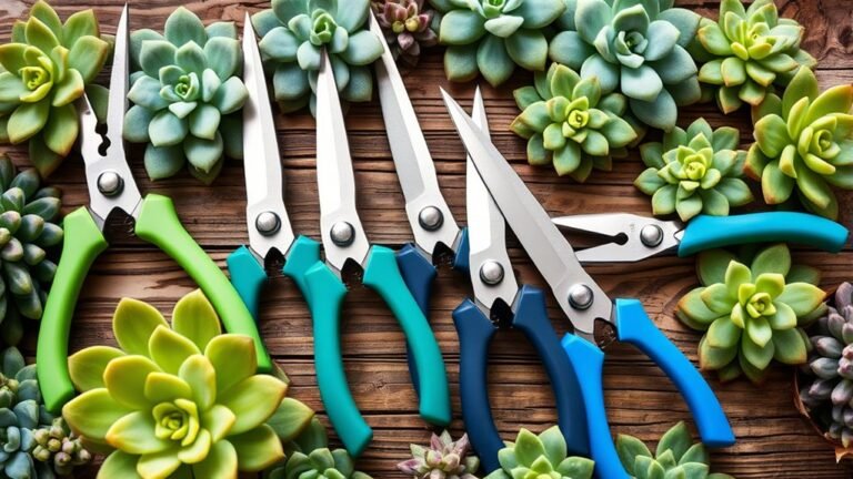top succulent pruning tools